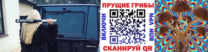 Псилоцибиновые грибы Cubensis Гурьевск