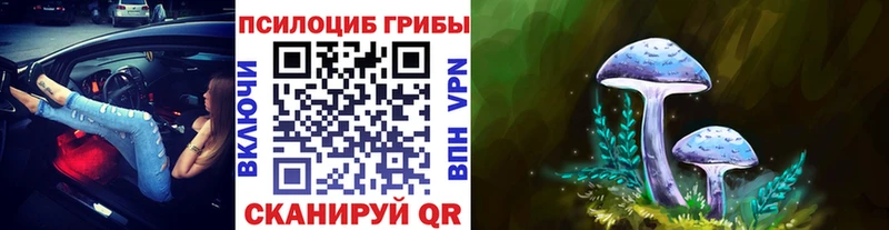 Купить  Гурьевск  Псилоцибиновые грибы мицелий 