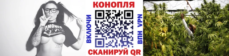 Марихуана Ganja  Купить где  Гурьевск 